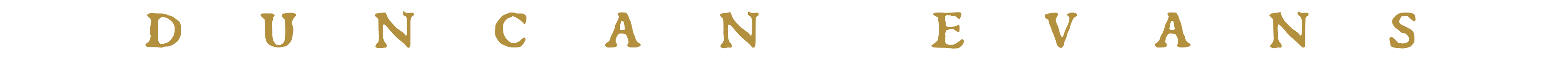 Duncan Evans - Text Logo